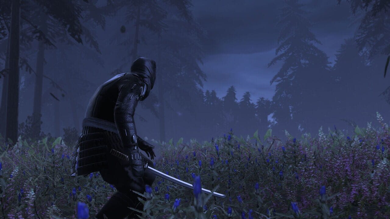 Total War: Shogun 2 – The Hattori Clan Pack