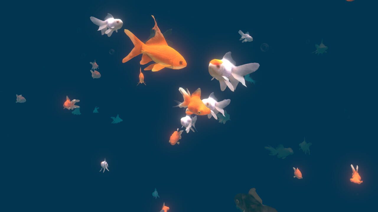 VR Aquarium Miyabi