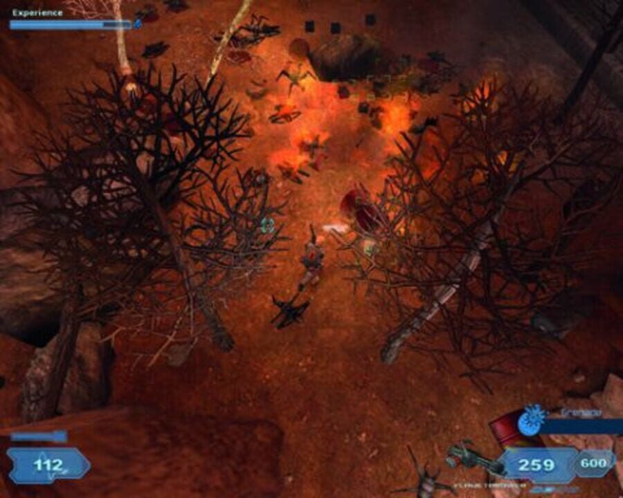 Shadowgrounds Survivor