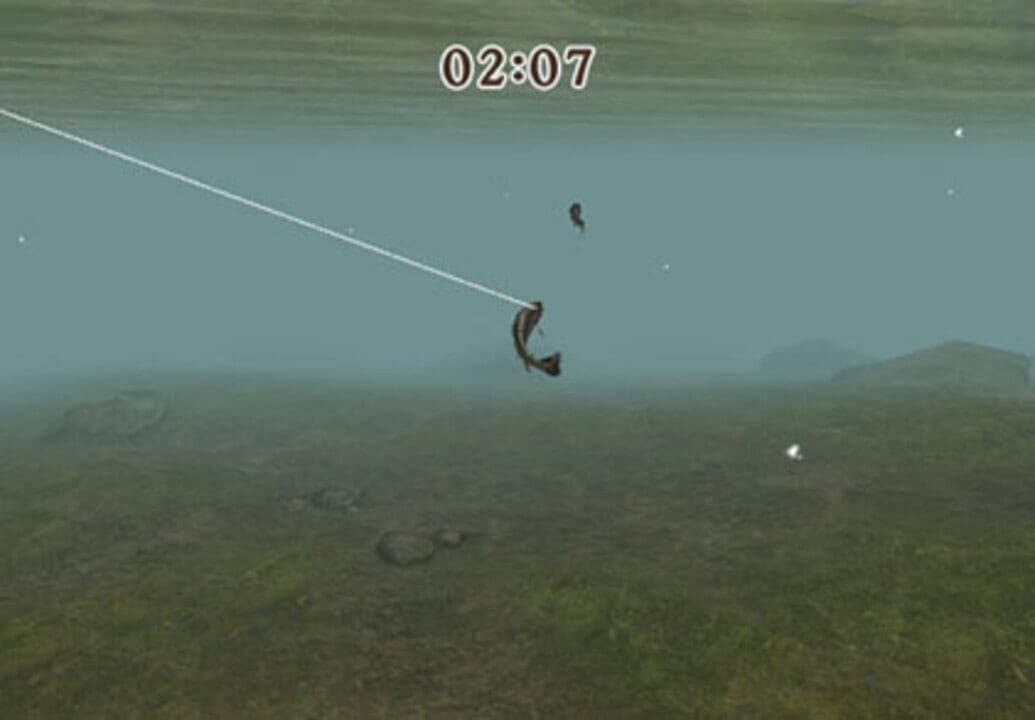 Reel Fishing Challenge II