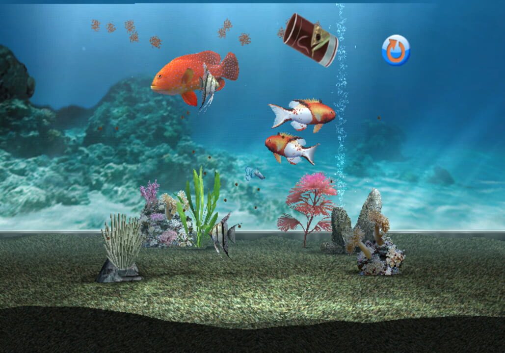 My Aquarium