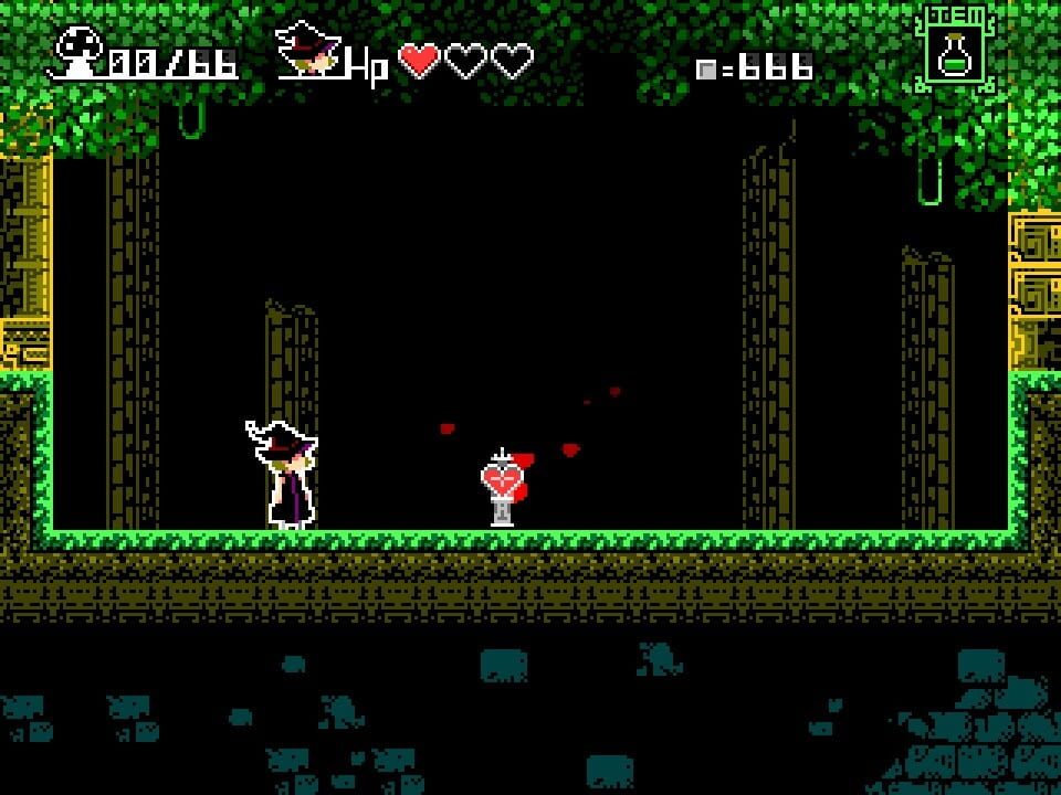 The Witch & the 66 Mushrooms