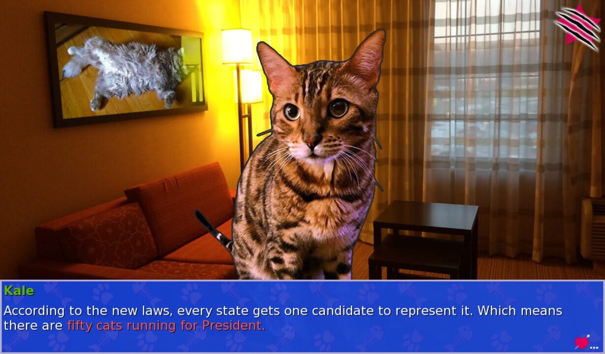 Cat President: A More Purrfect Union