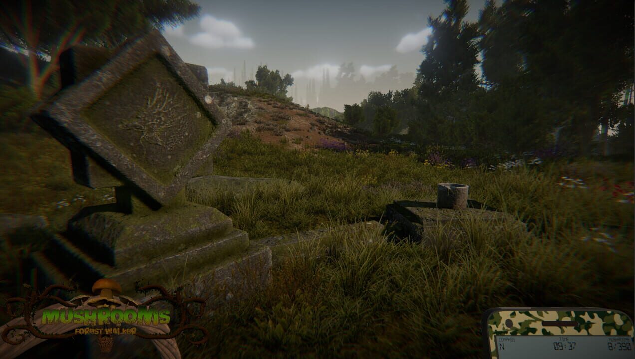 Mushrooms: Forest Walker