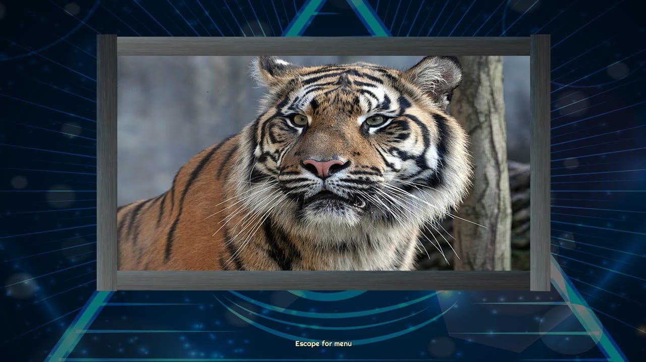 Trials of the Illuminati: Amazing Wildlife Jigsaws