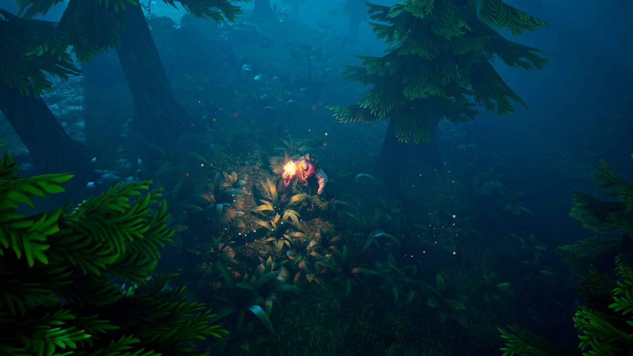 7 Bones and 7 Stones: The Ritual