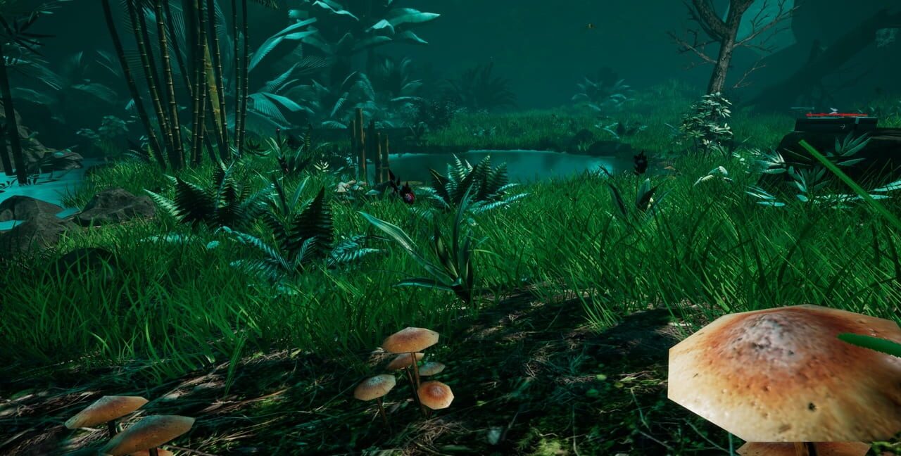 Legendary Hunter VR