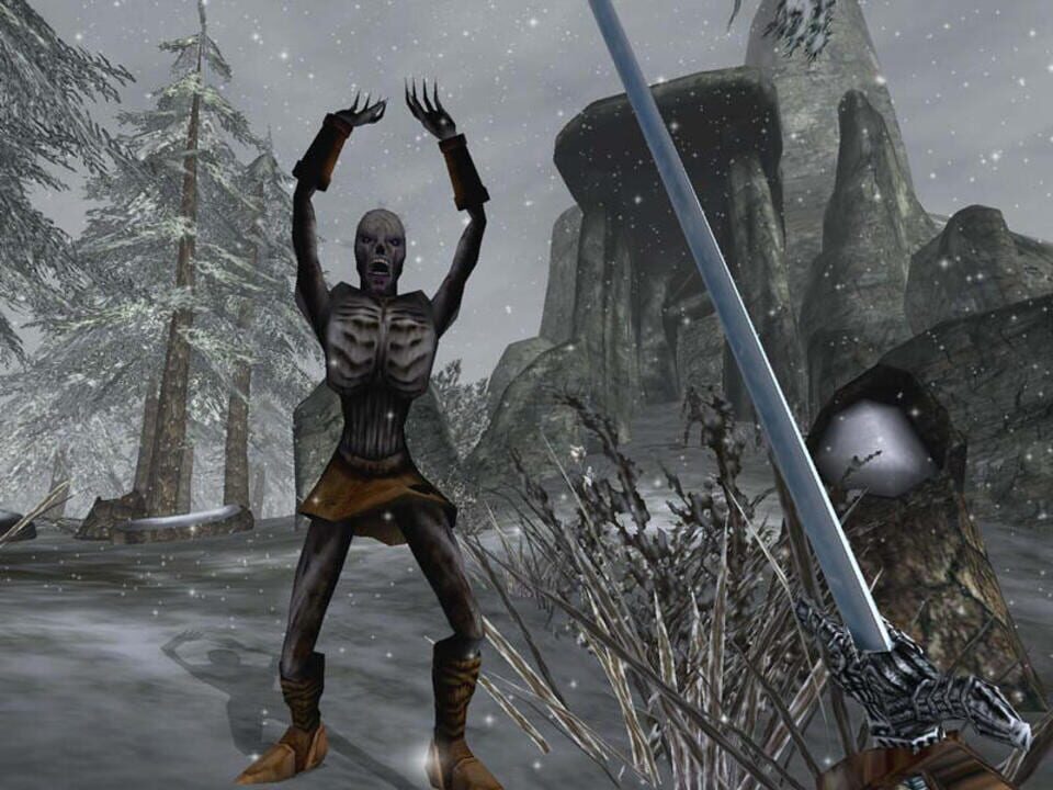 The Elder Scrolls III: Bloodmoon