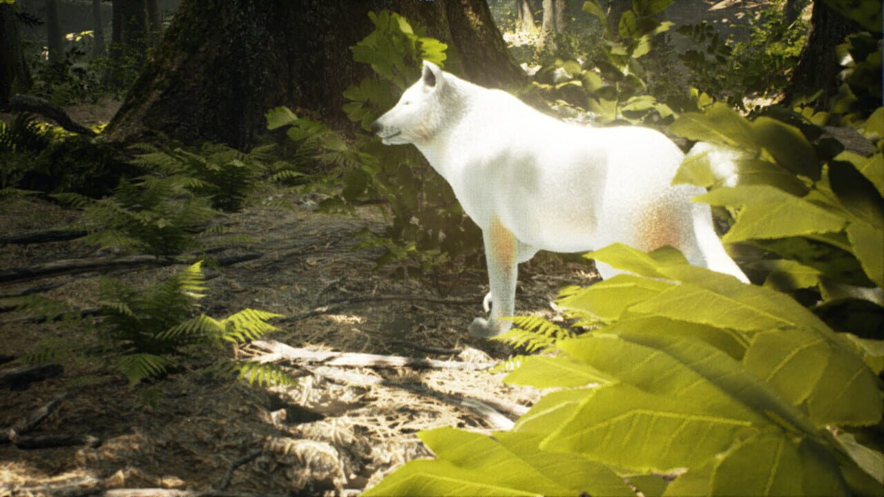 Survivalizm – The Animal Simulator