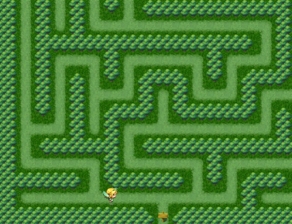 Maze Quest 1: The Forest
