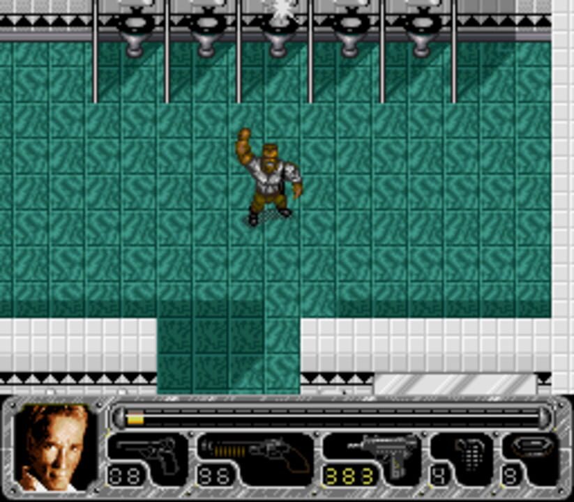 True Lies