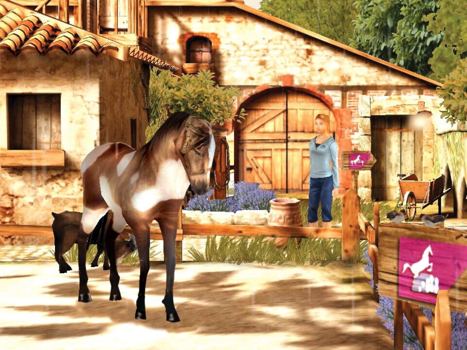 Petz: Horsez 2