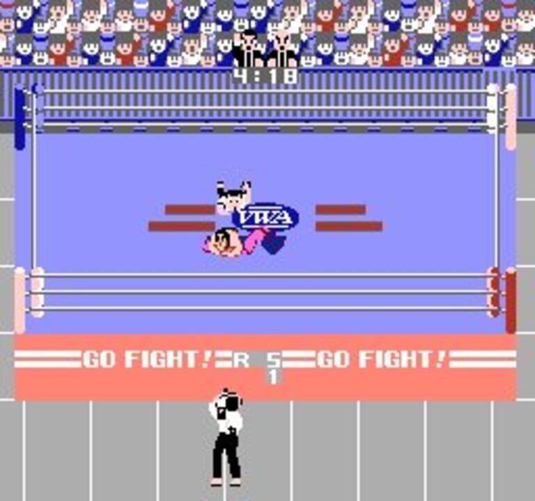 Pro Wrestling