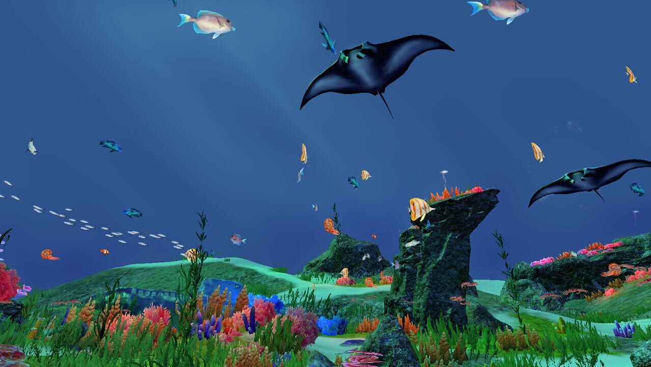 Fancy Fishing VR