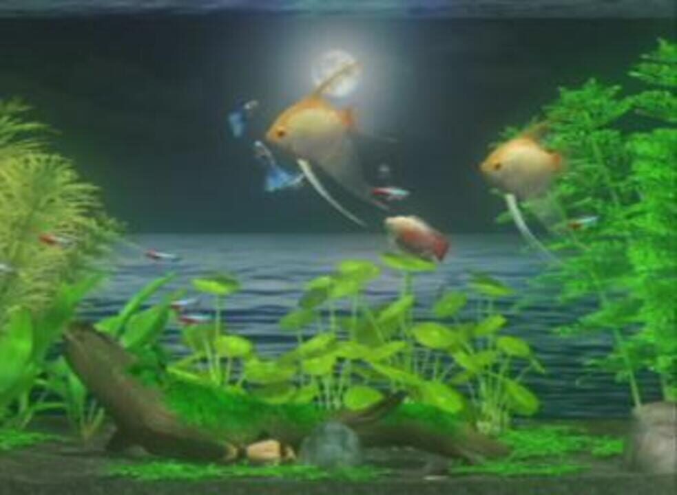 Zenquaria: Virtual Aquarium