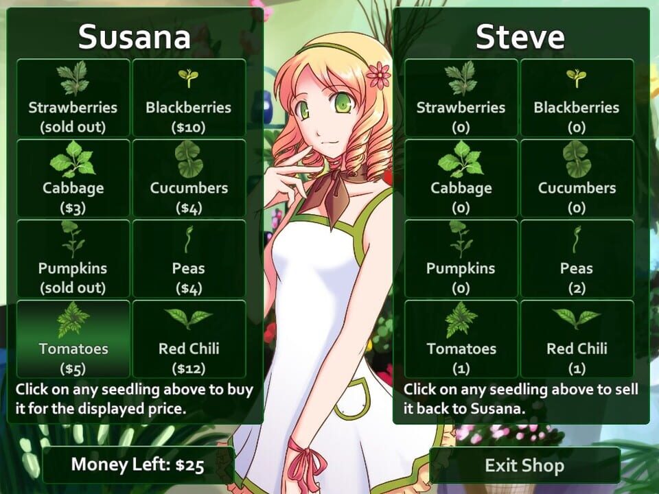 Flower Shop: Summer In Fairbrook