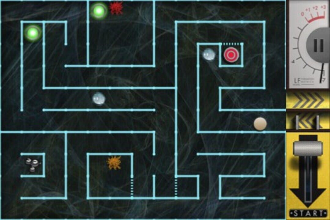 Schrödinger’s Rat