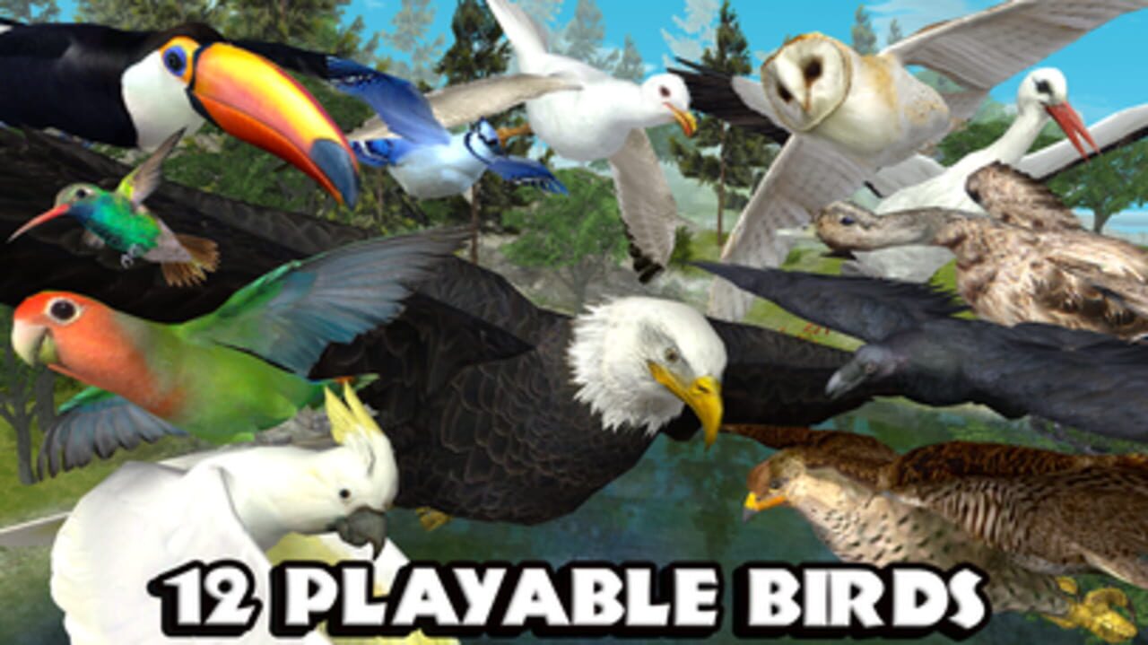 Ultimate Bird Simulator