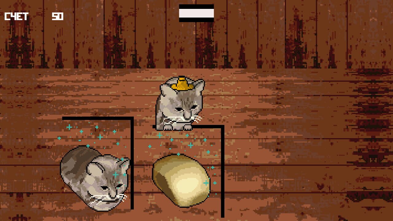 Cat or Bread?