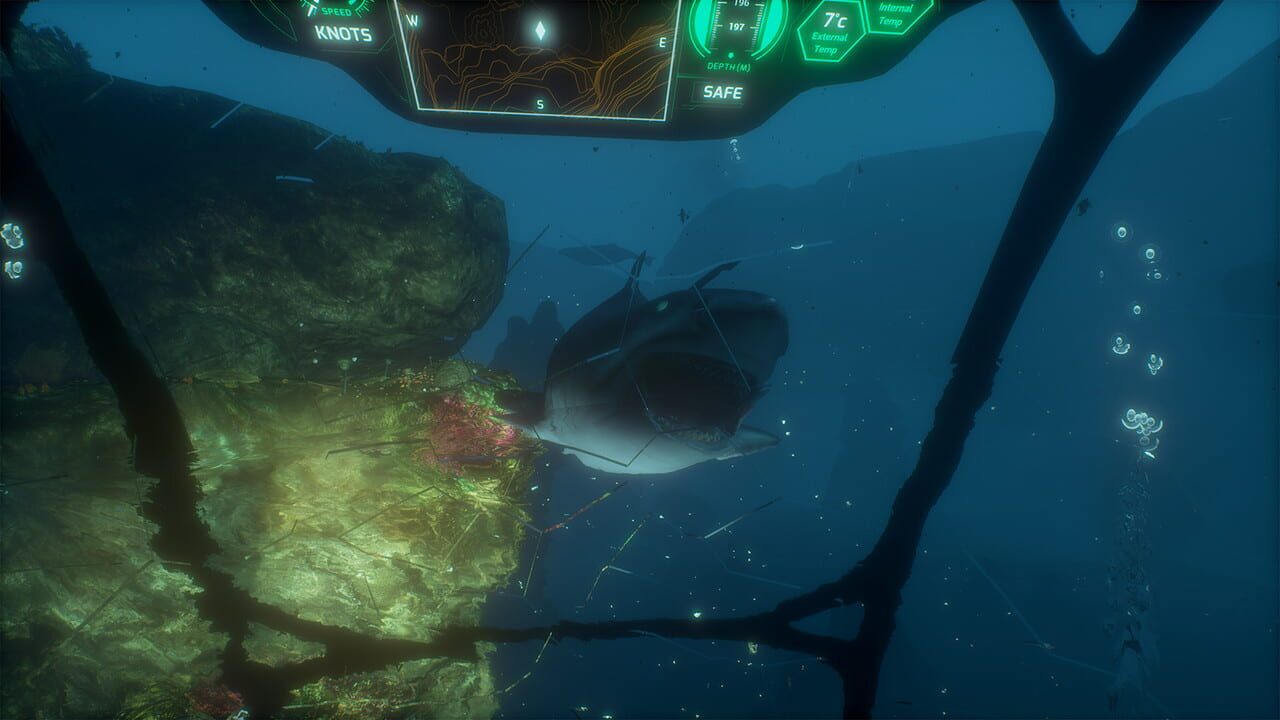 Iron Fish