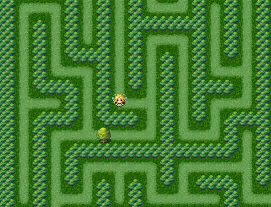 Maze Quest 1: The Forest