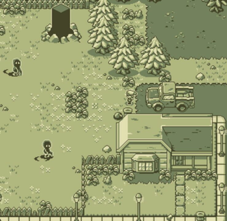 The Tragic Tale of Bark Scruffalo