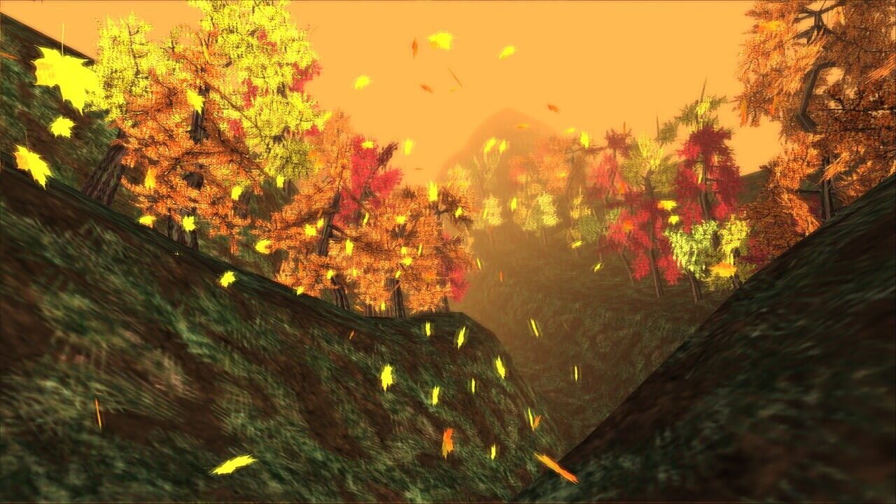 Remnants of a Beautiful Day
