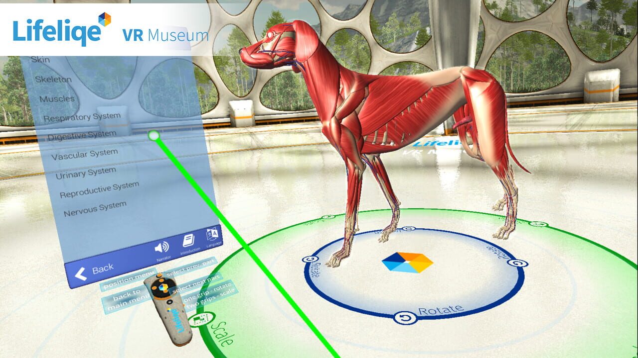 Lifeliqe VR Museum