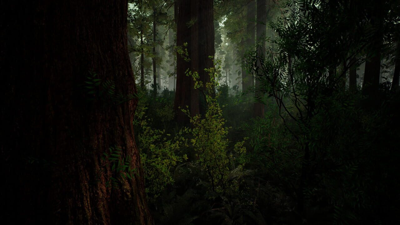 Death from Unknown: Survival