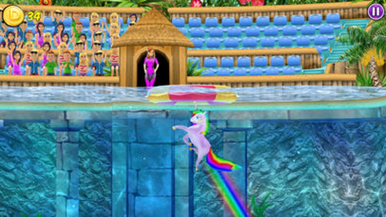 My Dolphin Show