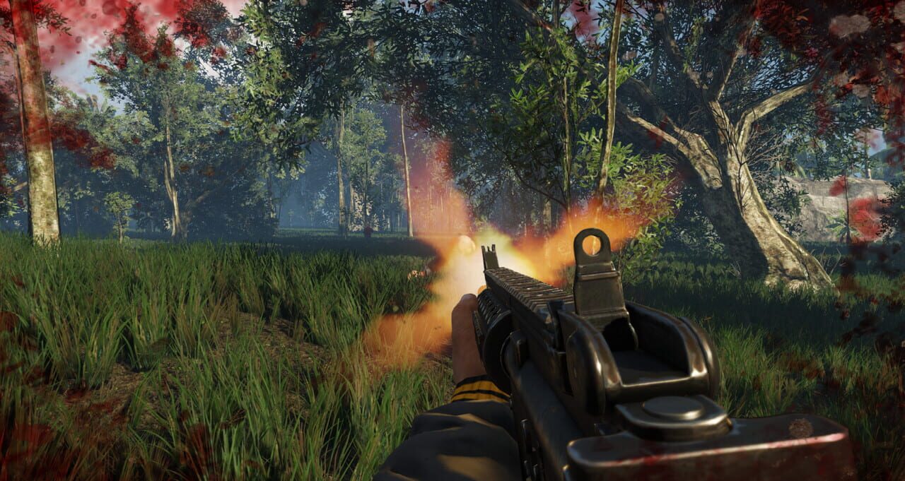 The Island Combat