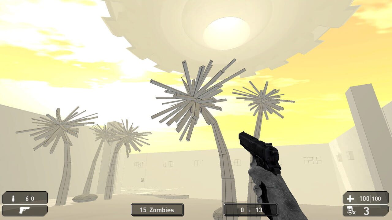 Project of the Developer