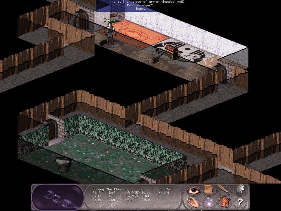 Nethack: Falcon’s Eye