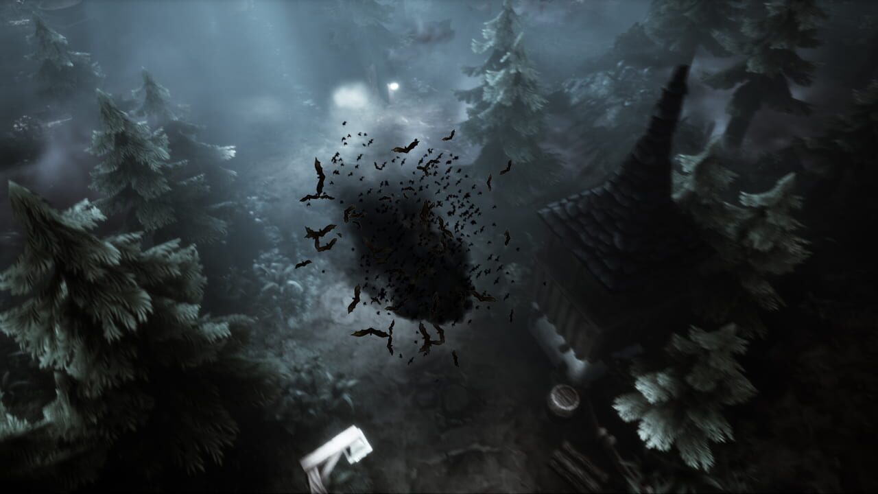 7 Bones and 7 Stones: The Ritual