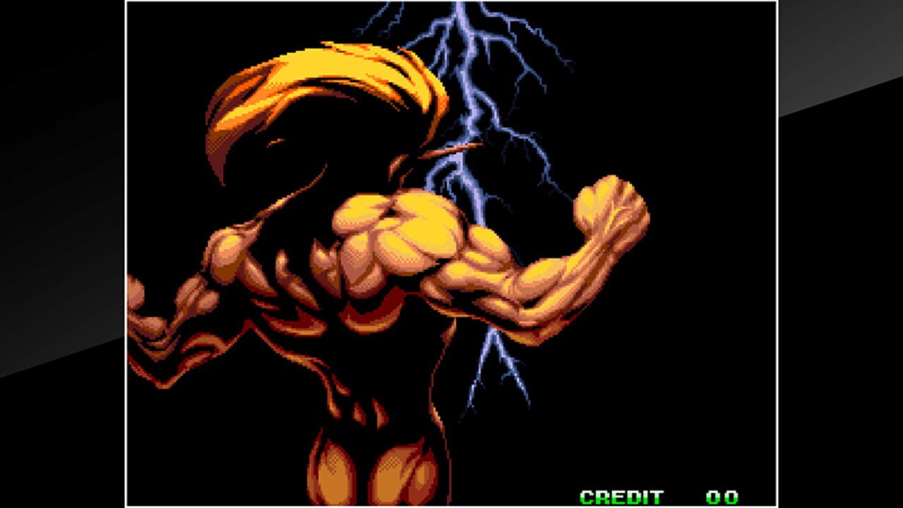 ACA Neo Geo: World Heroes Perfect