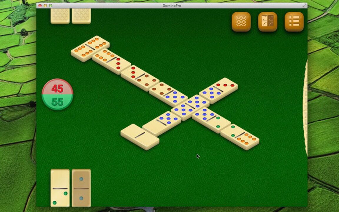 Dominos Pro