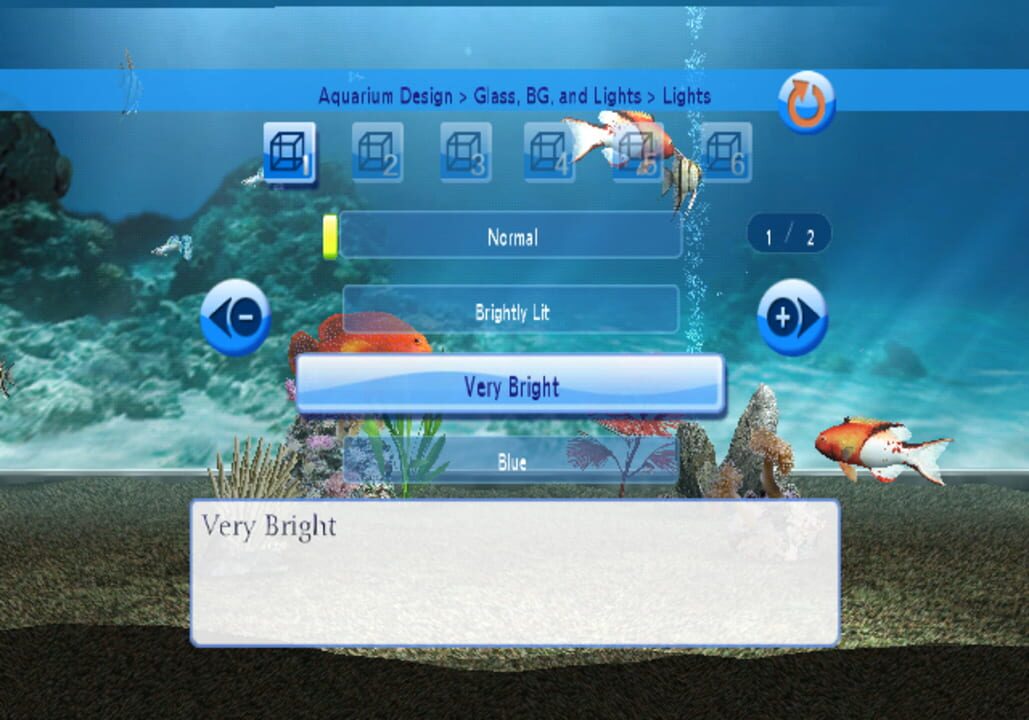 My Aquarium