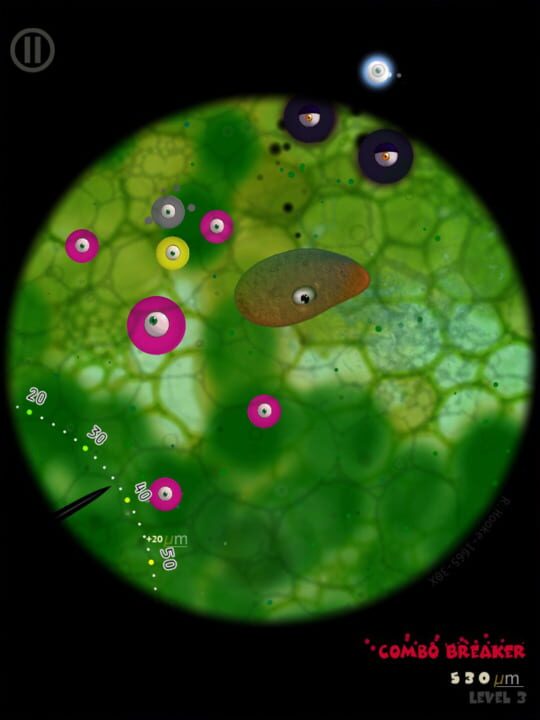 Little Cells