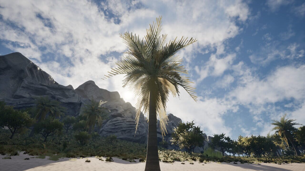 Palm Simulator 2
