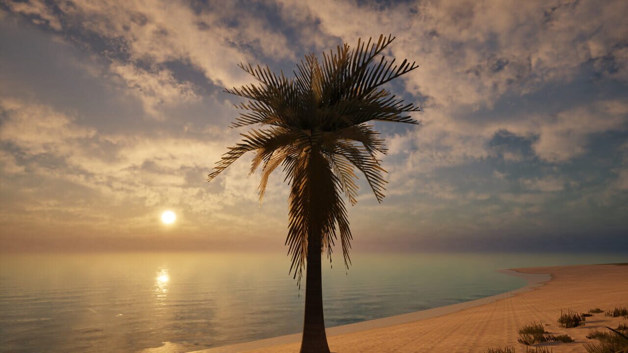 Palm Simulator 2