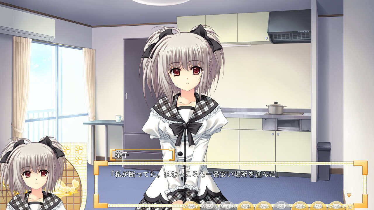 World Wide Love!: Sekai Seifuku Kanojo Fandisc