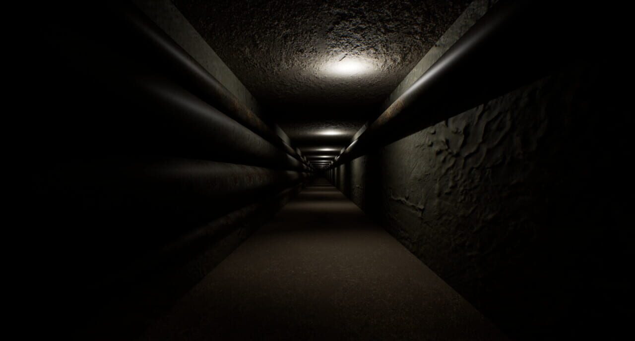 Lost in the Backrooms: Day 100