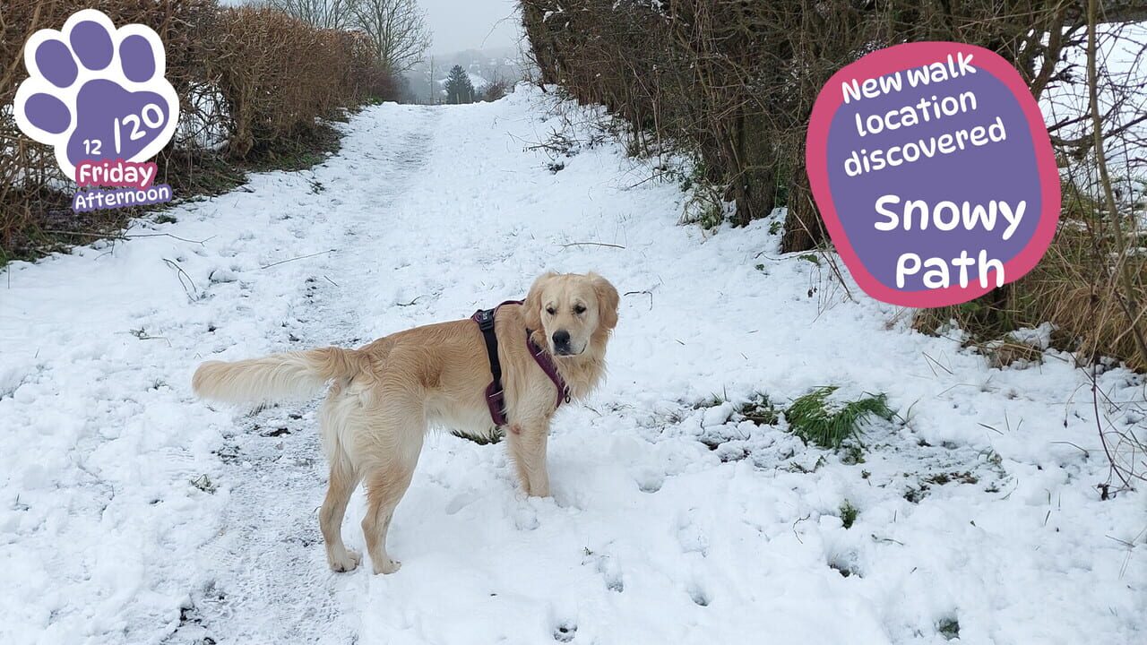 Golden Retriever Simple Life