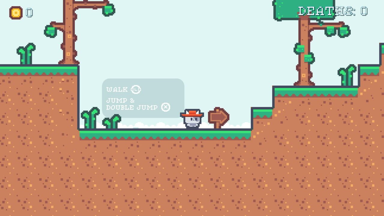 The Cat With Amazing Hat