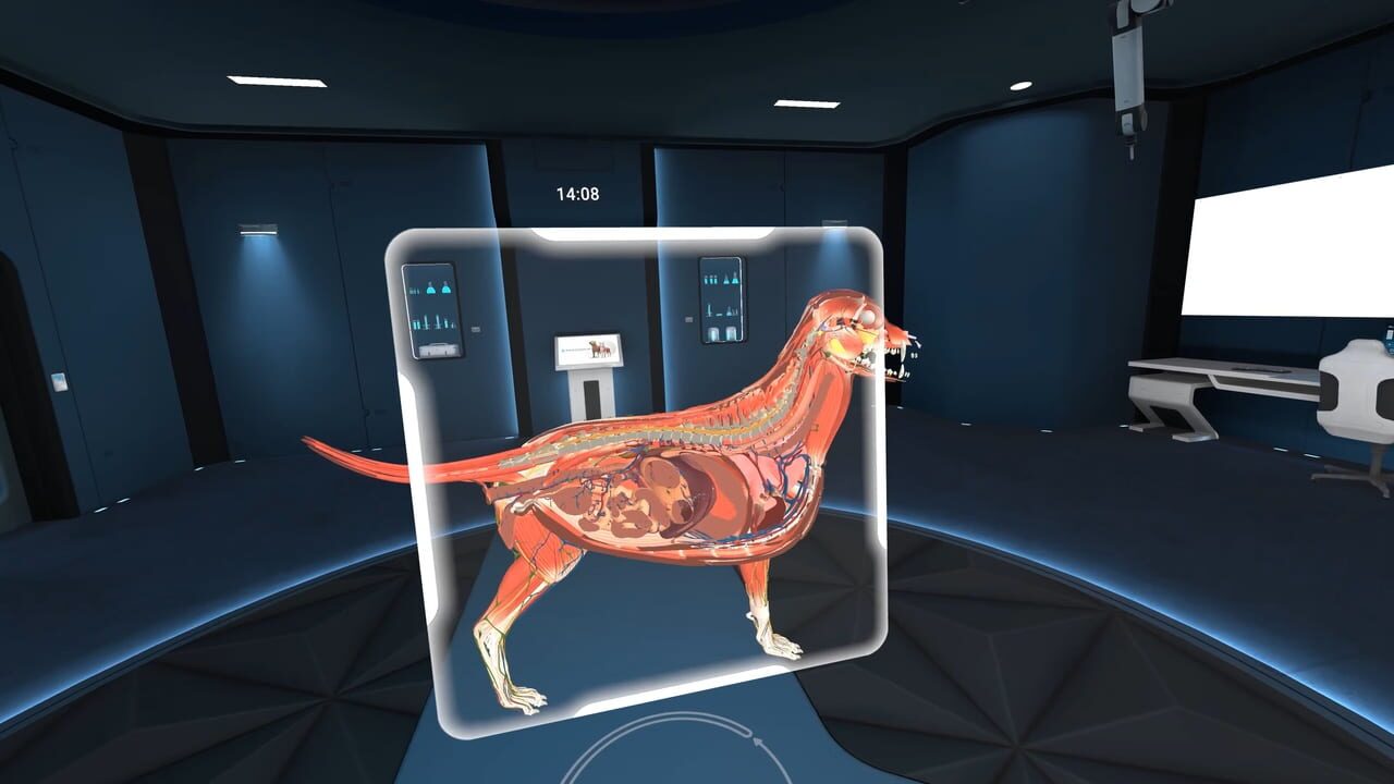 Animal Anatomy VR