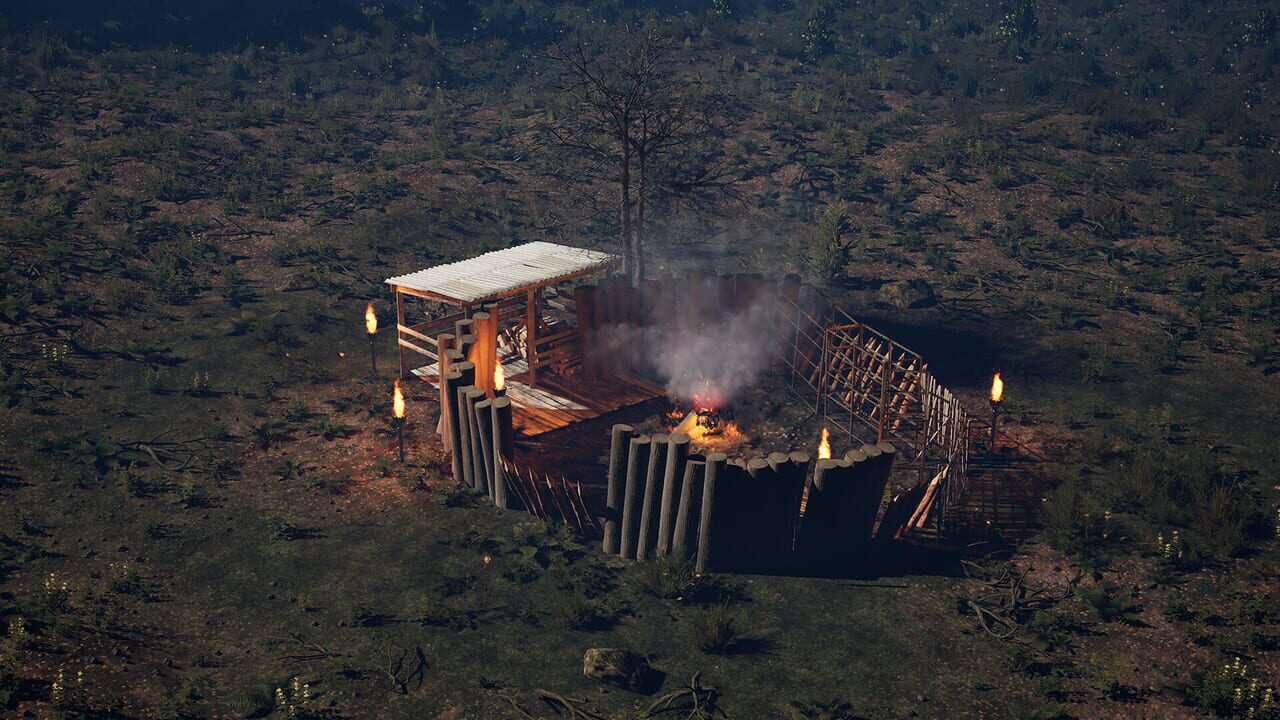 88 Nights in the Forest
