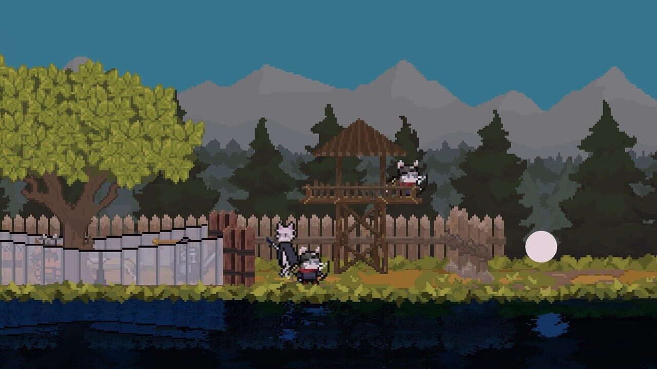 Cat Caravans