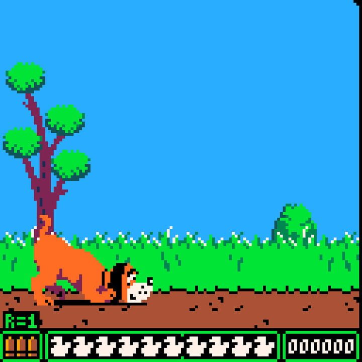 Duck Hunt