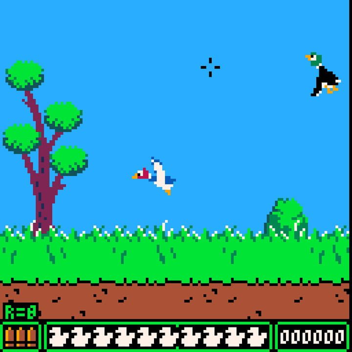 Duck Hunt