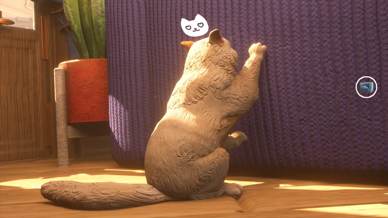 The Cat: Tales of Istanbul